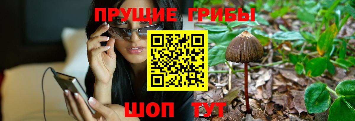 Псилоцибиновые грибы Magic Shrooms Ярцево